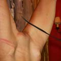 whippedwomen.com